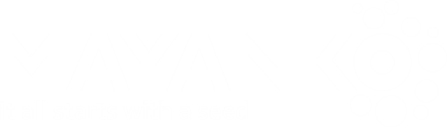 mayanko.mx